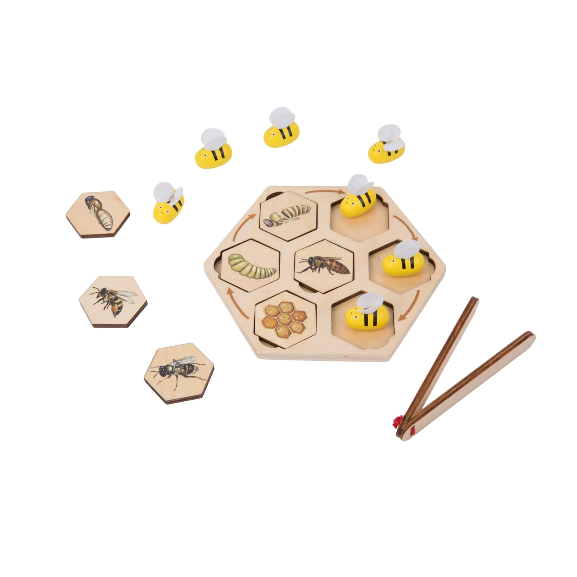 Montessori - Rompecabezas de ciclo de vida de abeja de madera para niños de 3 a 6 años | Aprende roles de colmena: reina, trabajador, dron, rompecabezas realista de insectos con bandeja y abrazadera