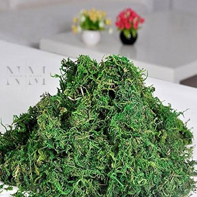 Noon & Moon Sphagnum Dry Moss for Orchid Plant Soil Air Layering and Mulching [ Green & Brown