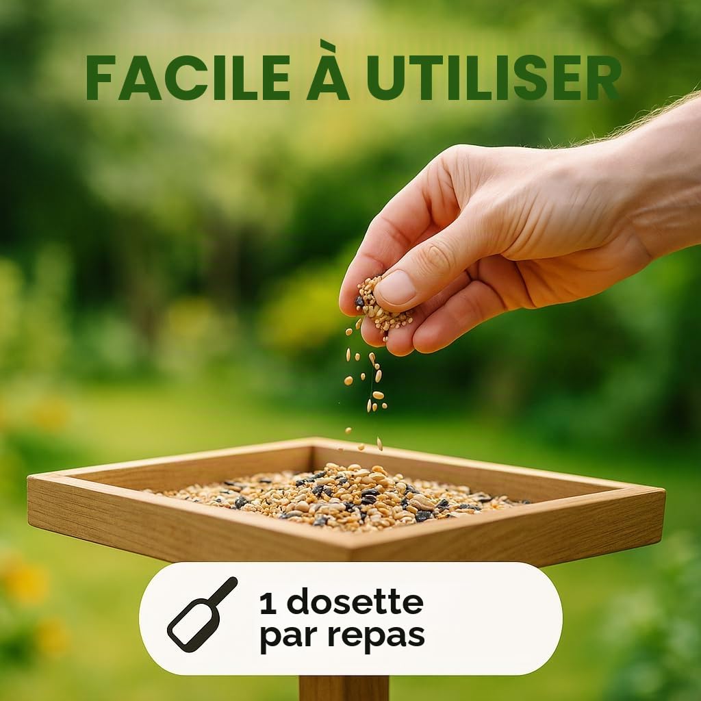 GiDeli Nourriture pour oiseaux sauvages toute l'année - 20 kg - Composition de qualité supérieure