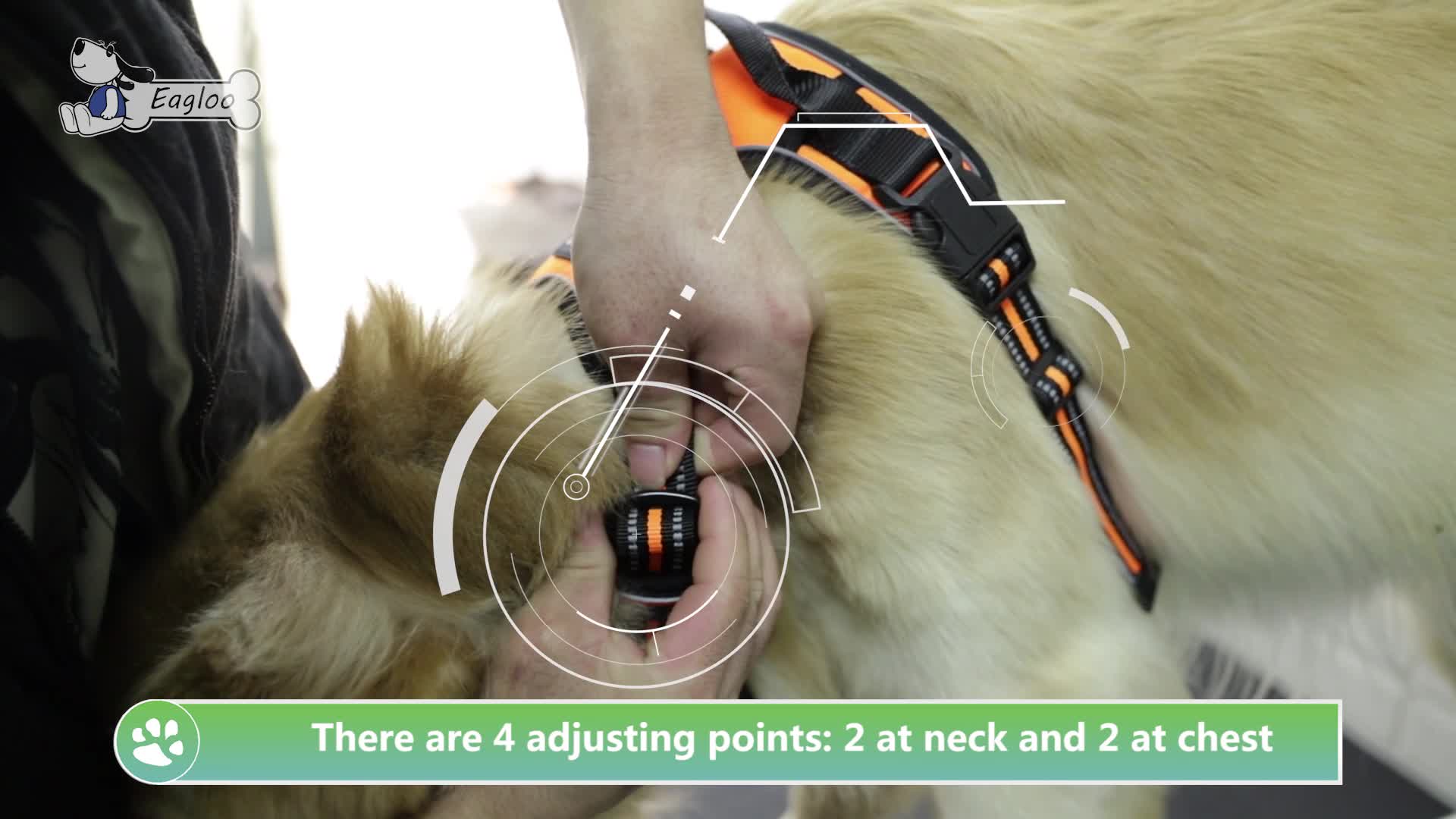 eagloo dog harness