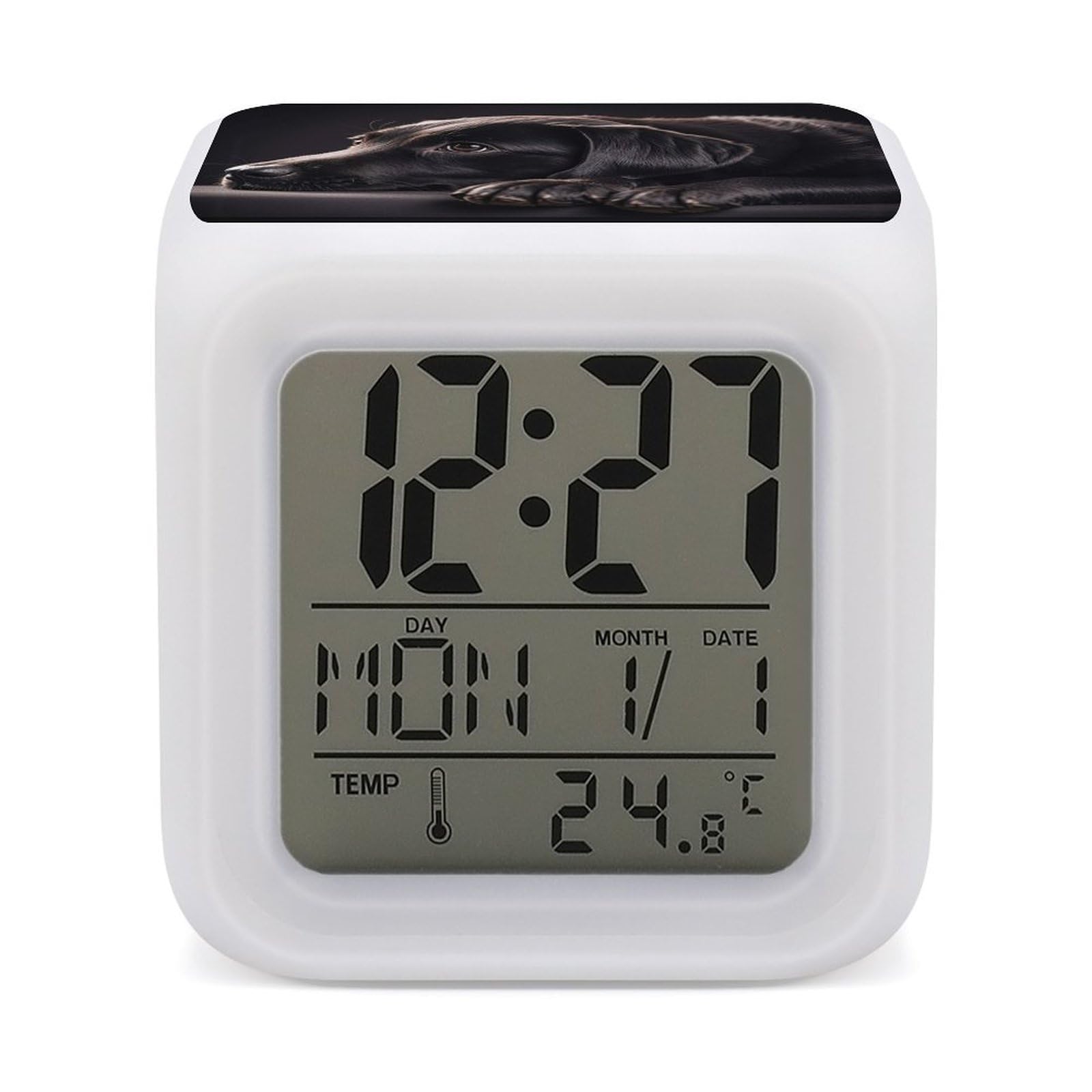 FekiLoot Black Labrador Puppy Alarm Clock for Heavy Sleepers Small Digital Alarm Clock with Date Temperature Wake Up Digital Clocks with 7 Colors Changing Desk Clocks for Bedroom Bedside Nightstand