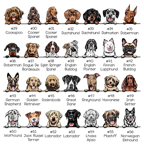 Custom Baby Bodysuit with Pet, Pregnancy Annoucement Gifts, Protected by Dog Cat Onesie, Dog-Themed Onesie, Dog Onesie for Baby, Funny Baby Onesie, Custom Baby Onesie Cute, Baby Bodysuit3