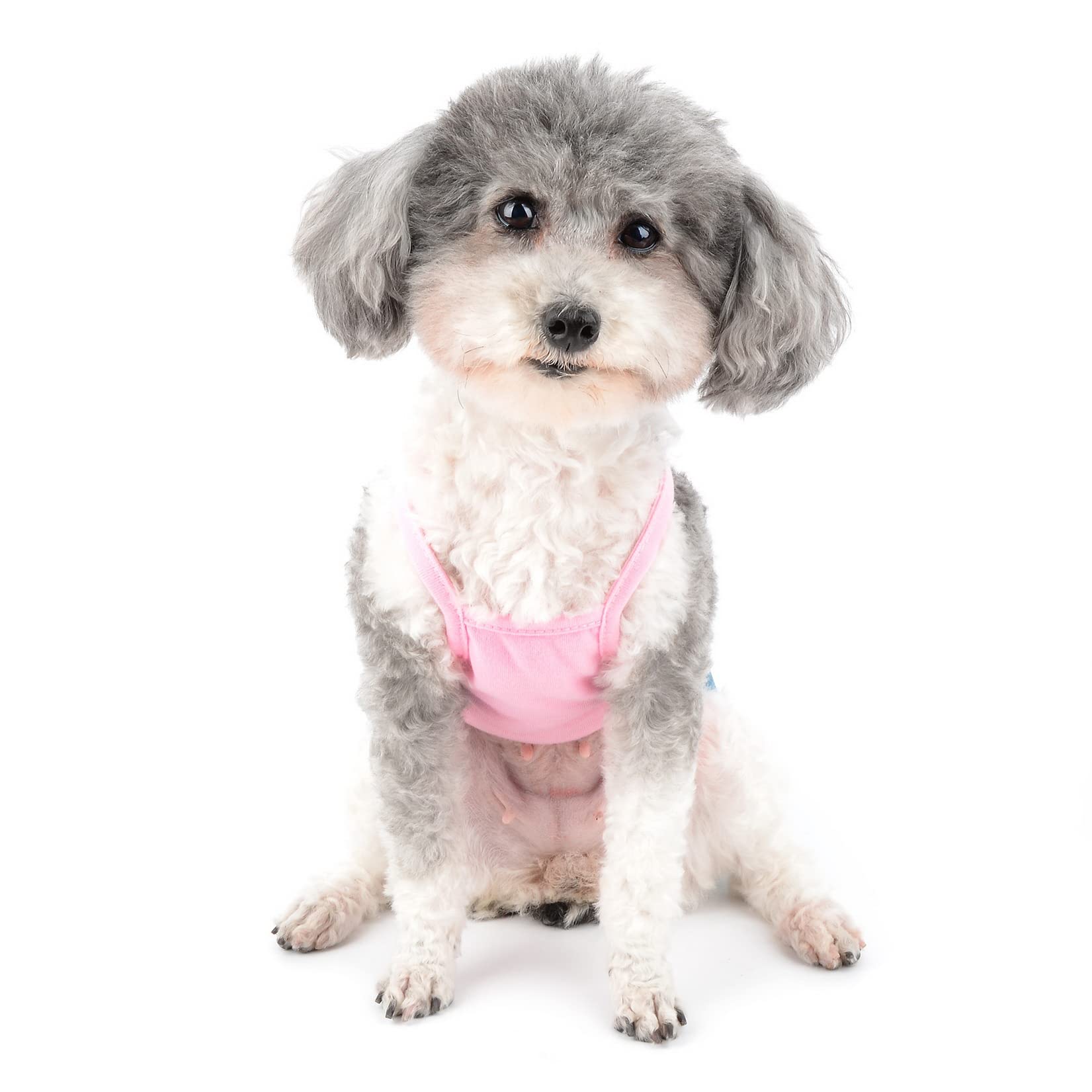Zunea Vestito per Cani di Piccola Taglia Denim Gonna Abiti Estivi Rosa S