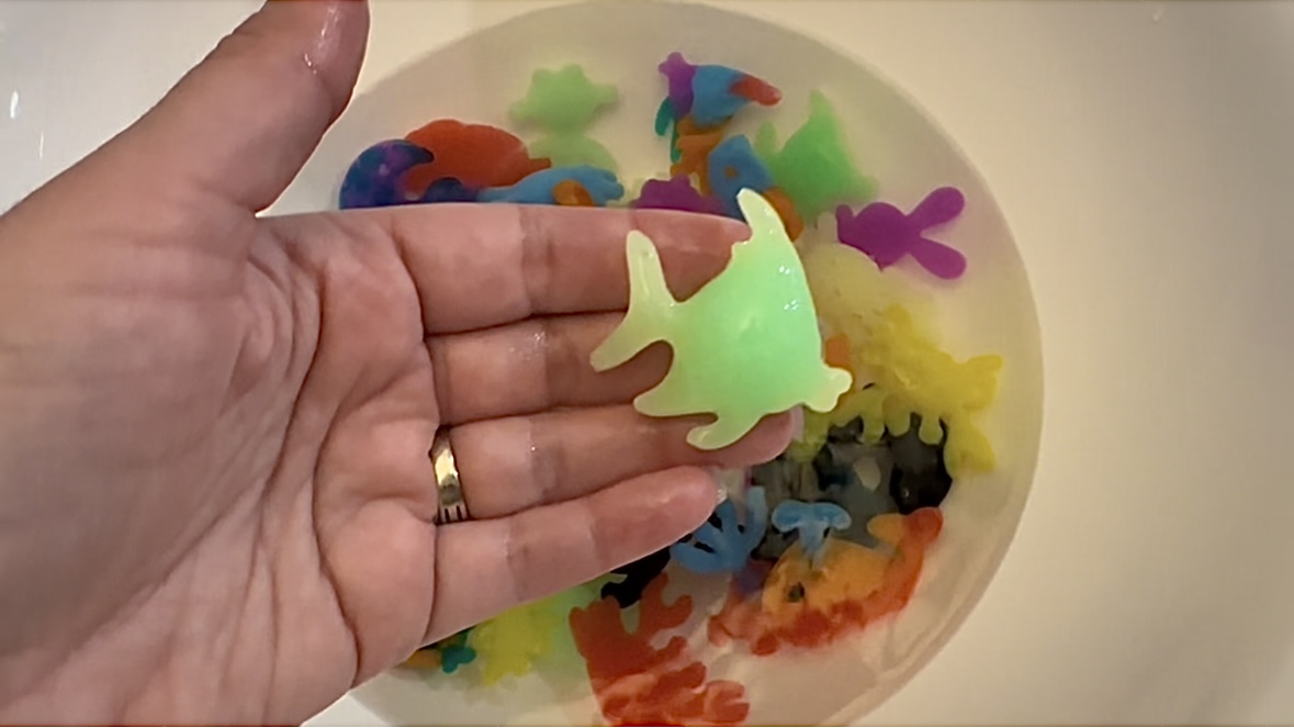 Watch Honest Review Demo of Aqua Gel Animal Kit on Amazon Live