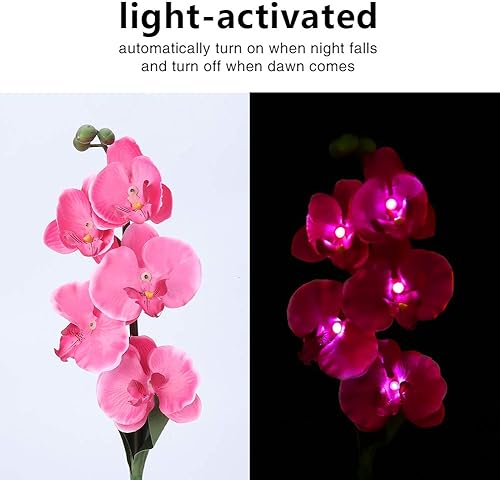 Miniatura 2 de Yosoo Luces solares de jardín, impermeables, con forma de orquídea, polilla, luces solares de jardín, luz LED activada por luz, luz para camino,
