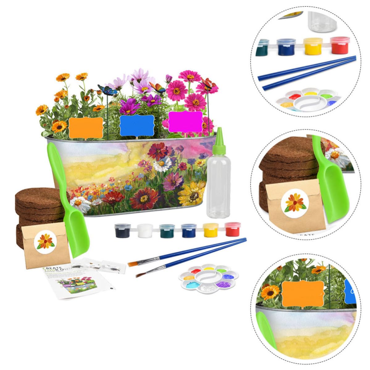 Kit Coltivazione Piante per Ferro, DIY Creativo