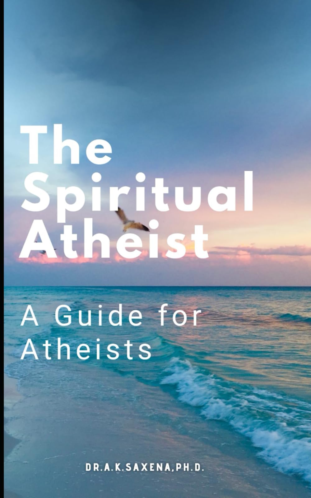 The Spiritual Atheist: A Guide for Atheists