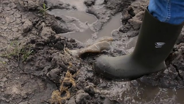 Amazon.com: Bekina Steplite EasyGrip S4 Safety Toe Wellington