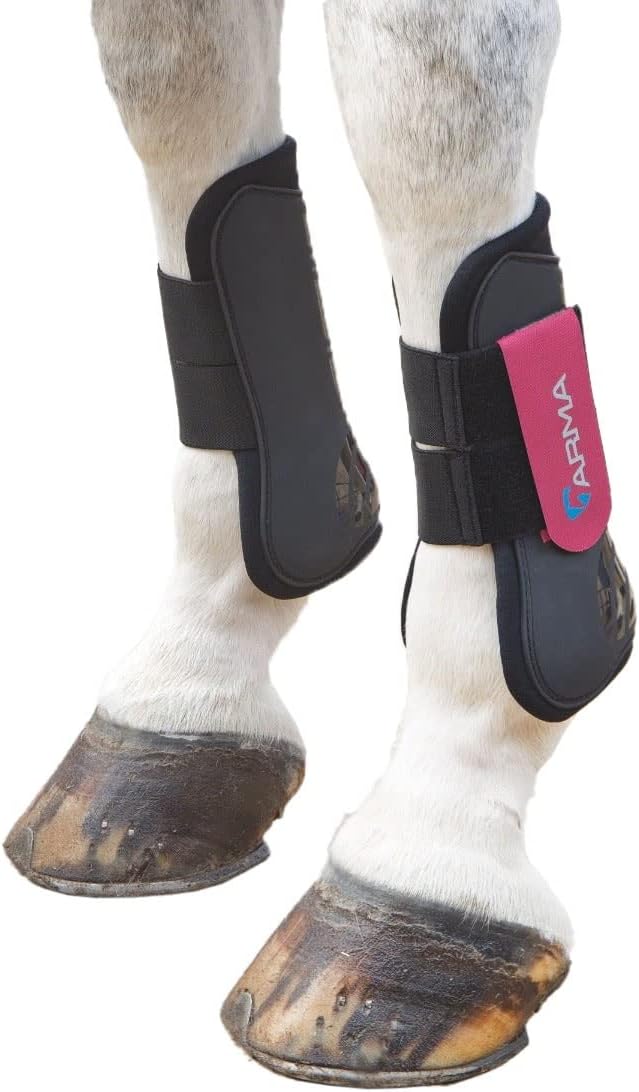 Shires Arma Tendon Boots Black/Raspberry Full