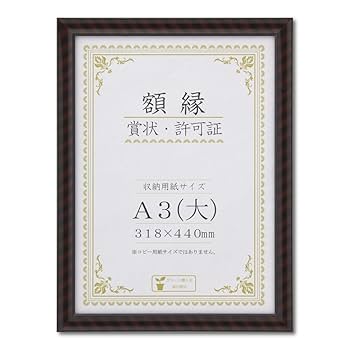 Amazon | 大仙 額縁 賞状額 金ラック R A3大 樹脂製 箱入