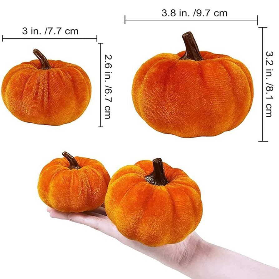 専用✨迎春2022✨正月飾り ミニカボチャ  (ドライ) 専用✨迎春2022✨正月飾り ミニカボチャ (ドライ)