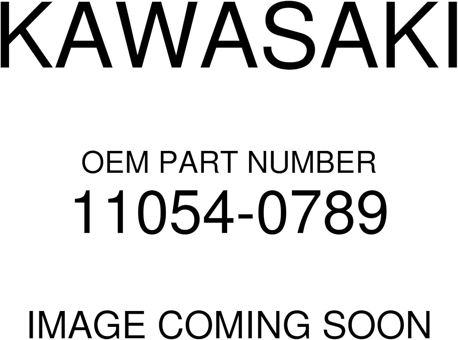 Kawasaki BRACKETLH 11054-0789