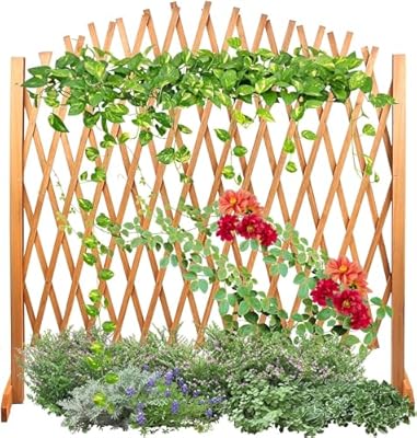 Lattice Fence Willow Wooden Expandable Plant Climbing Lattices Trellis Fence | Decorative and Lightweight | Open Screen Willow Fencing | Rot-Resistant and Weatherproof