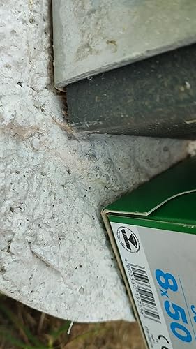 SPAX Holzbauschraube, 8,0 x 50 mm, 50 Stück, T-STAR plus, Tellerkopf