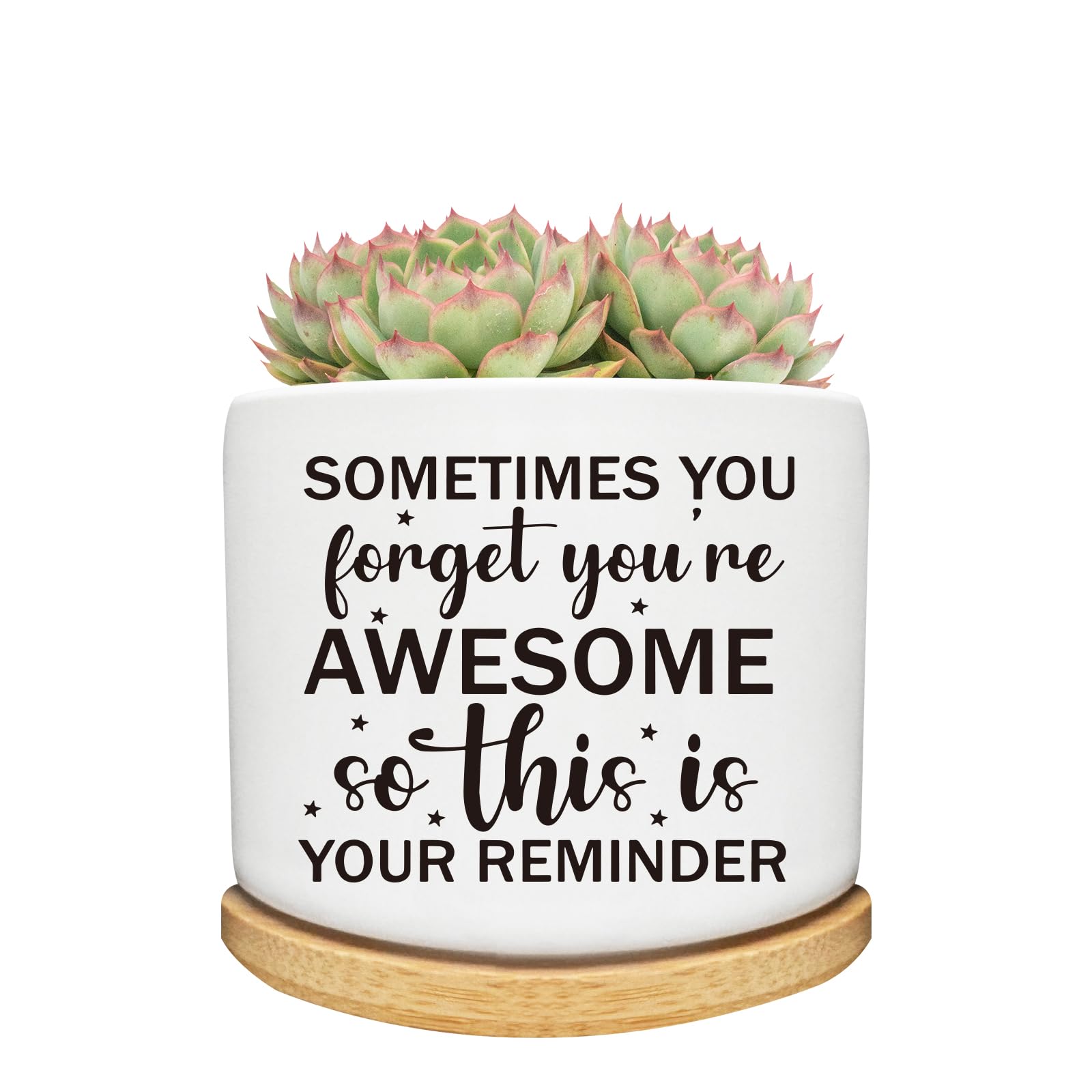 Macetas de Cactus suculentas con Bandeja de bambú, decoración de Interiores, Regalo para Amigos, mamá, Mujeres, compañeros de Trabajo, Profesores, Amantes de Las Plantas