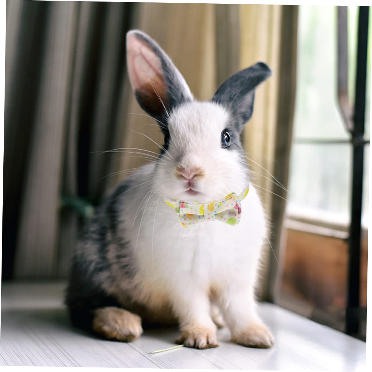 VANZACK 9pezzi Collare Per Gatti Con Campanella e Design Fruttato Di Frutta Mista Accessorio Estivo Per Animali Domestici