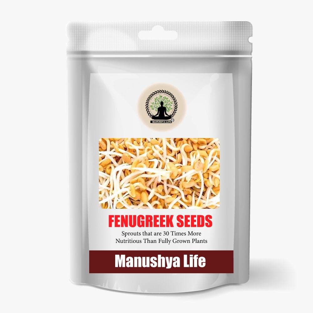 Manushya Life | Fenugreek Seeds for Sprouting | Satvic lifestyle | 100Gms (B0B1M64BSG) Amazon Price History, Amazon Price Tracker