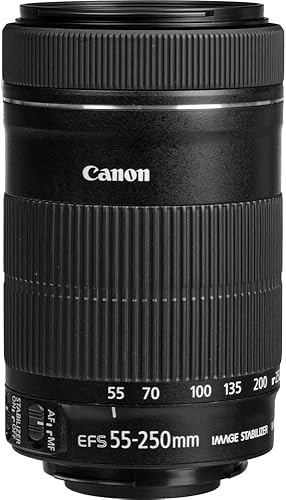 Miniatura 4 de Canon EF-S 2.165-9.843 in f/4-5.6 is STM Lens (8546B002) + Kit de filtro + mochila + tarjeta de 64 GB + lector de tarjetas + trípode flexible +