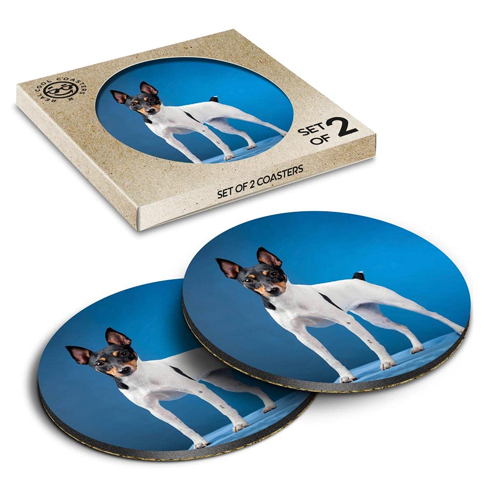 2 x Eco Boxed Cork Coasters - Toy Fox Terrier Dog Puppy Drink Cup Mug Glass Table Mat #2222