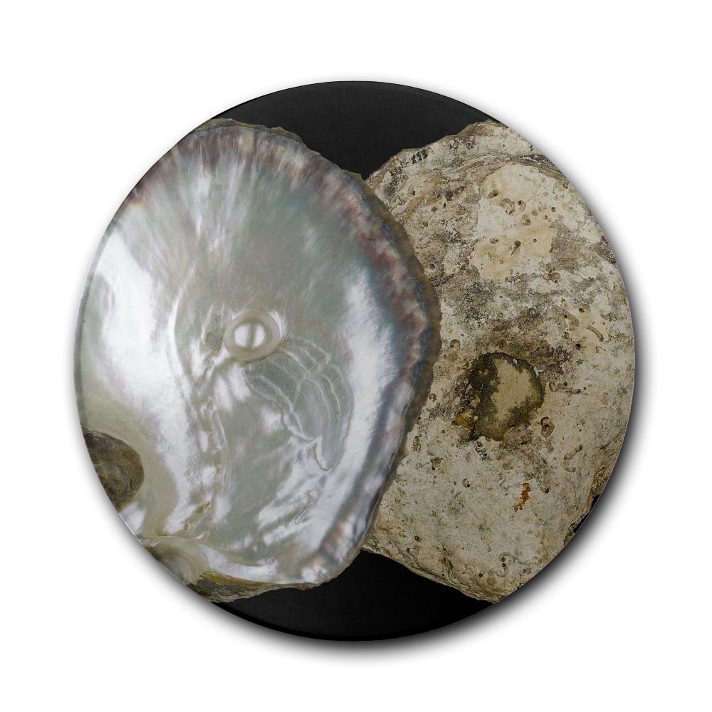 HMGBFD Pinctada Margaritifera Luxury Printing Ceramic Coaster Desktop Protection Against Furniture Damage