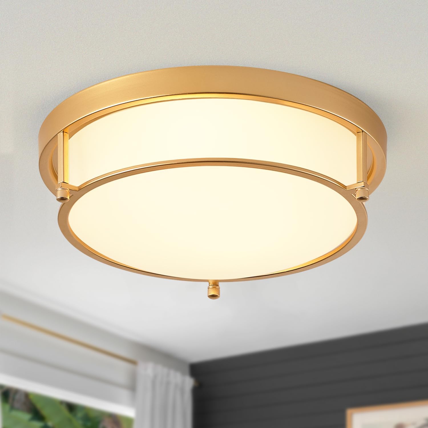 BinoBro 13 inch Gold Ceiling Light, 2Light Modern Ceiling Light with