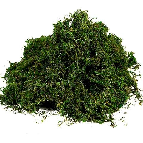 BYHER Artificial Moss Fake Green Grass for Centerpieces Home Kitchen Garden Decor (3.5OZ, Fresh) Cover