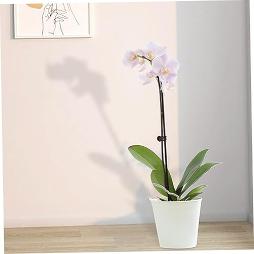 Miniatura 7 de 10 estacas de soporte para plantas con 10 clips de orquídeas para plantas, palos de soporte para orquídeas, estacas de jardín, soportes para plantas