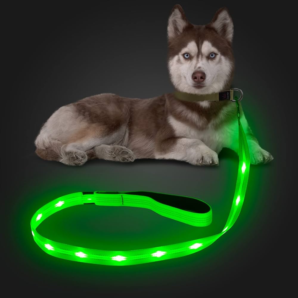 Amazon.com: Candofly Correa para perro iluminada – Correa alcanzable para  mascotas con luz – Correa de perro brillante de 4 pies para caminar por la  noche (verde) : Productos para Animales