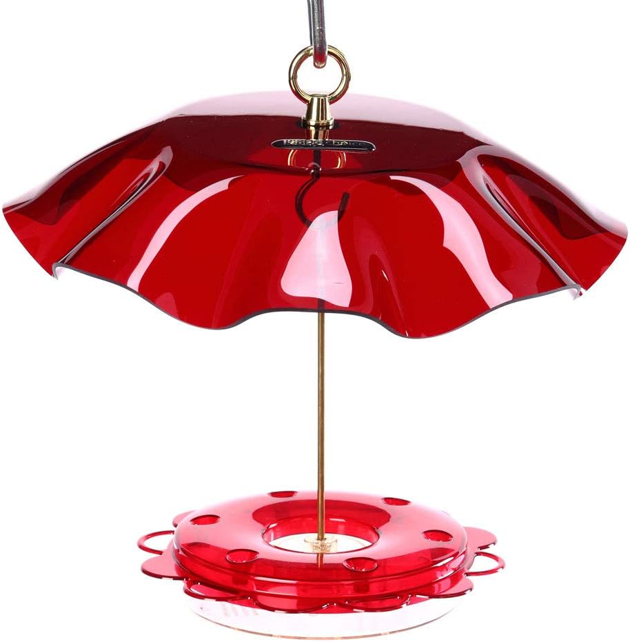 Umbrella for hummingbird feeders Clearance
