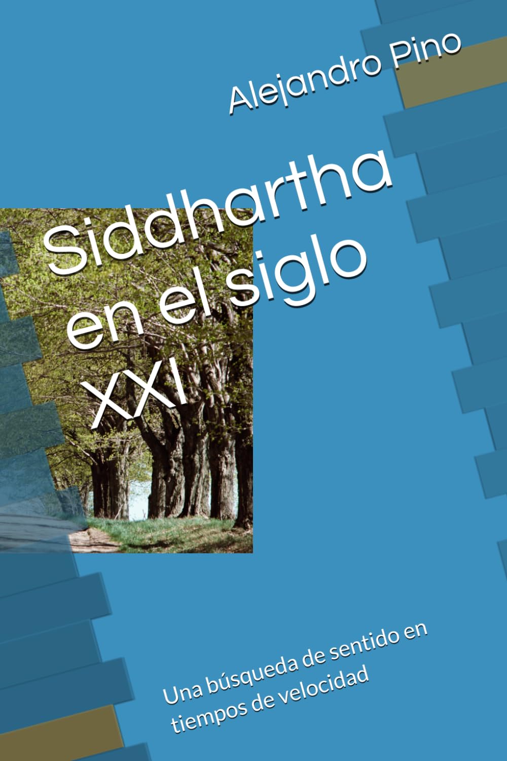 Siddhartha en el siglo XXI: Una búsqueda de sentido en tiempos de velocidad