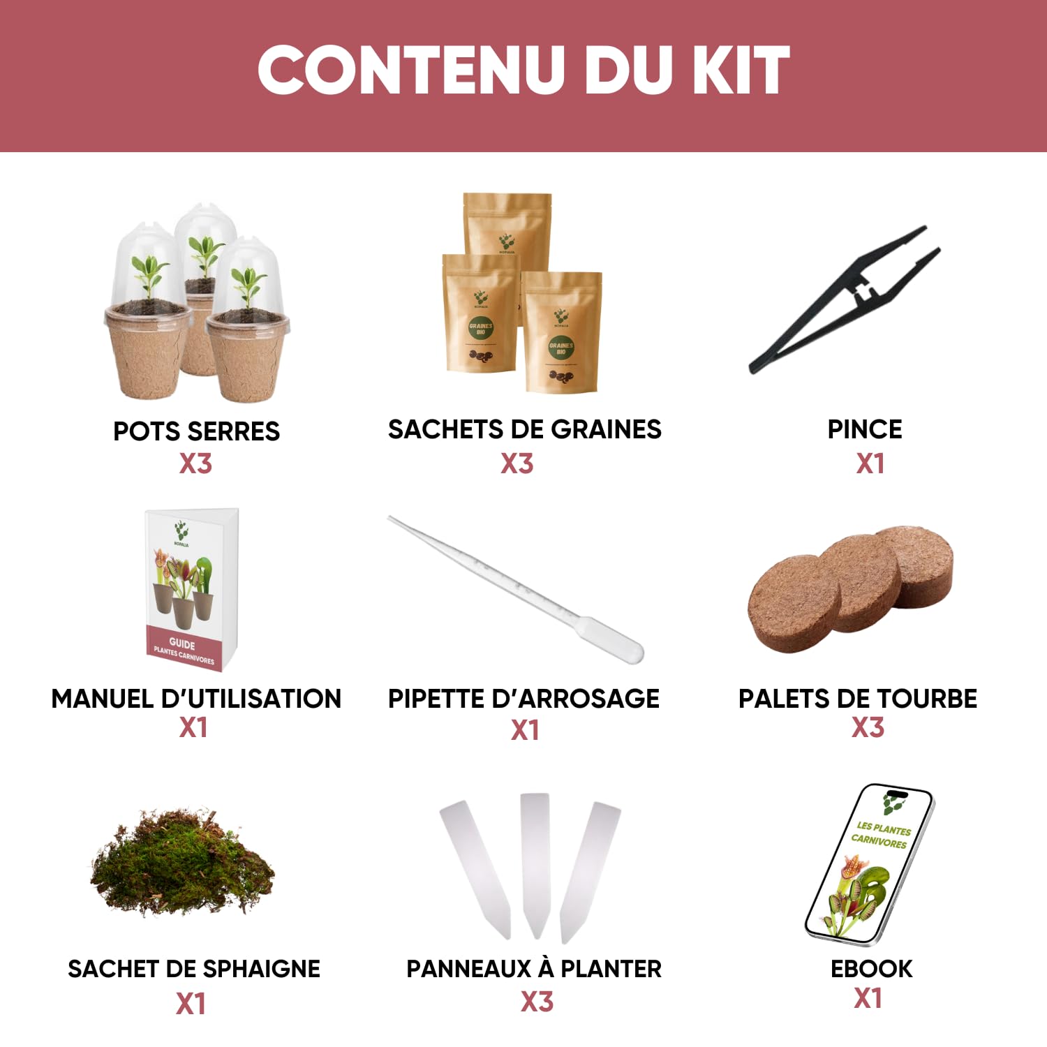 NOPALIA® Kit Plantes Carnivores Premium – Dionaea, Darlingtonia & Sarracenia – Kit Complet avec Serre, Pots, Tourbe & Sphaigne – Cadeau Insolite & Éducatif noel – DIY Jardin Intérieur – Made in France