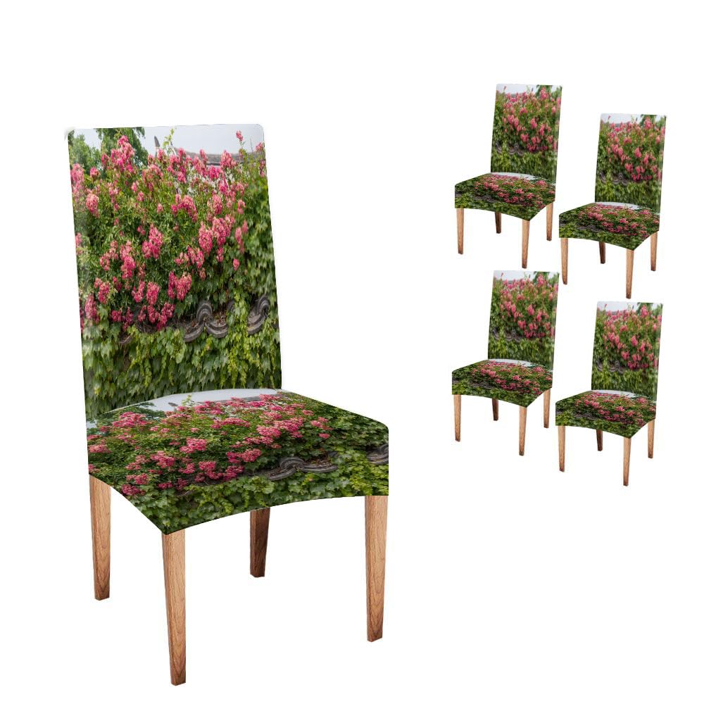 Abstractwildflower Dining Chair Covers Stretch Chair Covers for Dining Room Set of 4 a Traditional Korean Wall Covered by Flowers Taken in Changpyeong South Korea Removable Seat Protector for