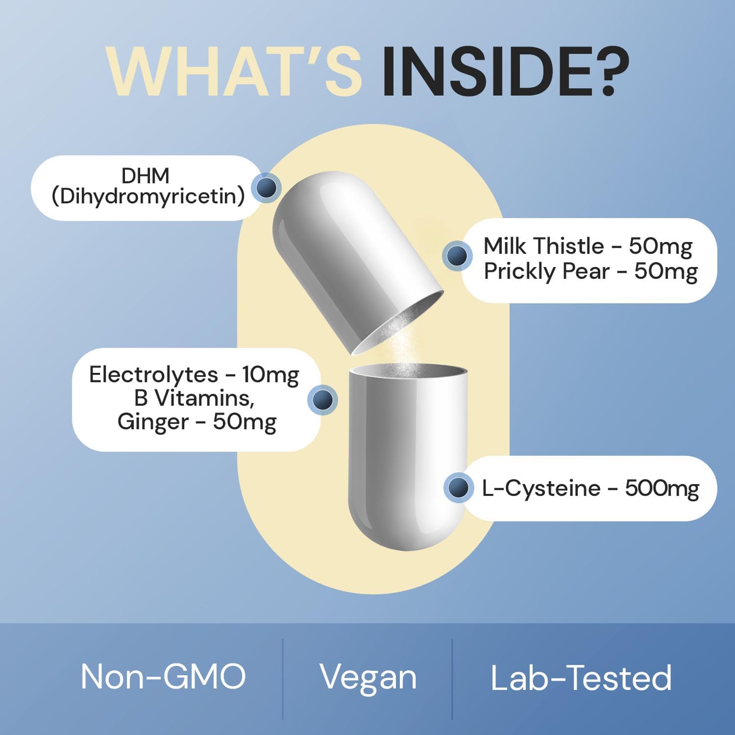 Body C.E.O. After Drinking Aid - Electrolyte Balance & Recovery - DHM (Dihydromyricetin), L-Cysteine, Prickly Pear, Milk Thistle, Zinger, Vitamin-B for Recovery - Filler-Free Formula - 60 Capsules - Image 5