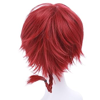 rakko様 ウィッグオーダー 専用ページ② らんま1/2早乙女乱馬コスプレウィッグ - コスプレ用ウィッグ