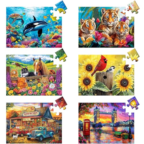 6 Pack 24 Large Piece Puzzles for Seniors Puzzle Dementia Alzheimers Products Activities for Elderly Adults Kids Easy Jigsaw Puzzle Alzheimers Gift for Patients in Nursing Home with 6 Storage Bags