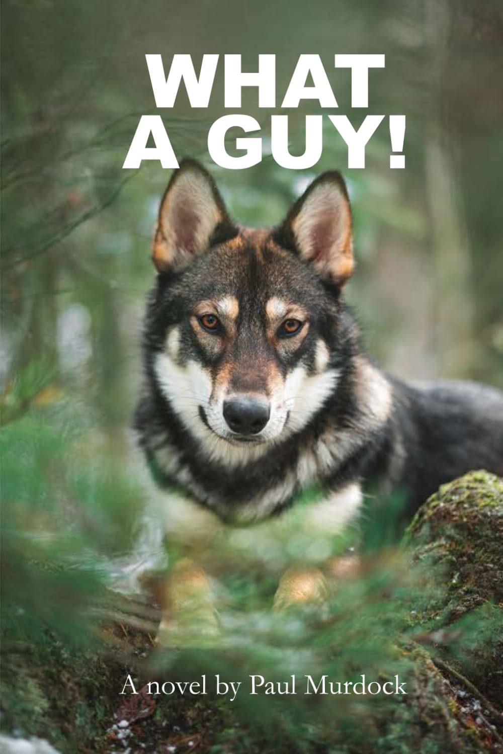 What A Guy! (What goes around comes around)