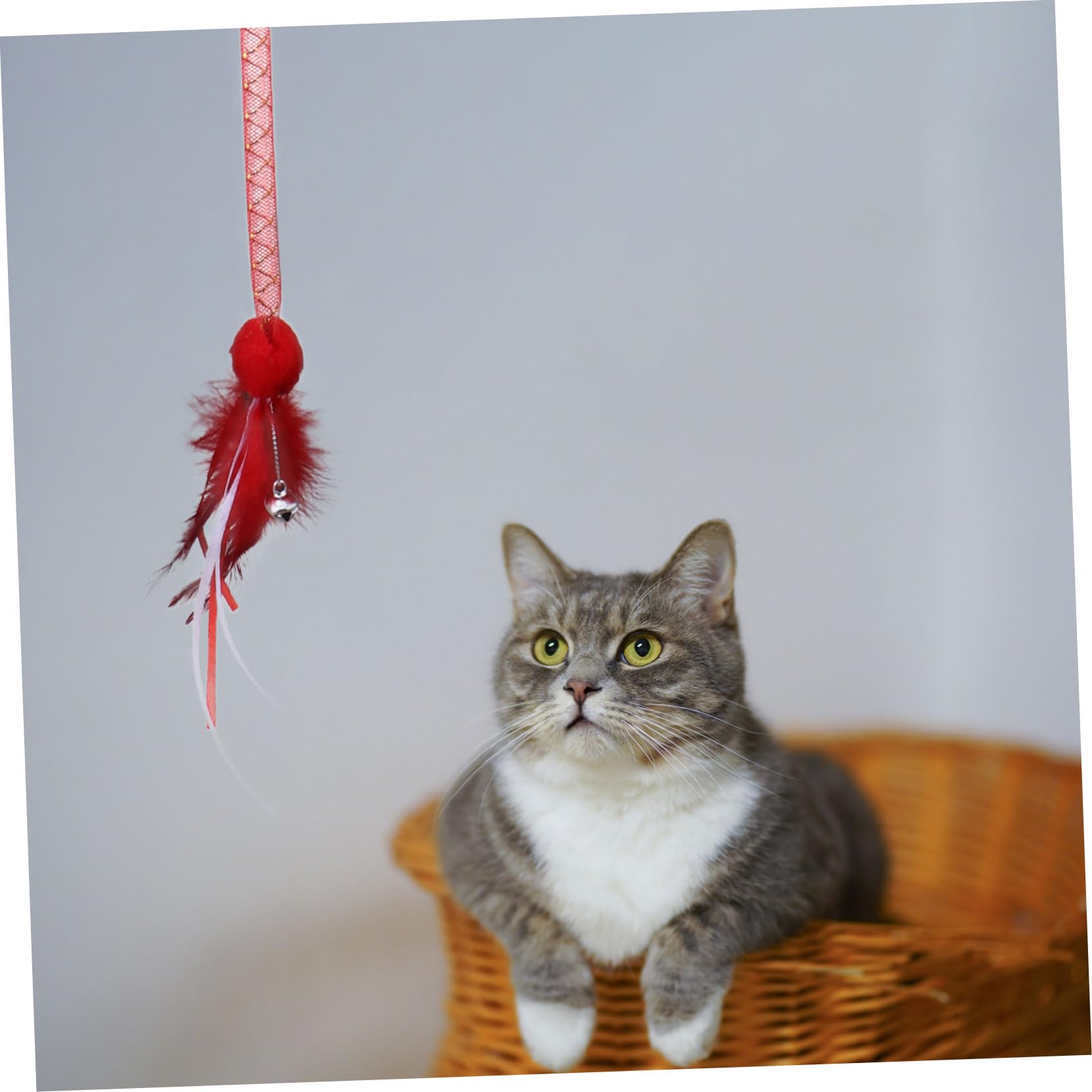 Toddmomy 9pièces Jouets Interactifs pour Chats Jouet De Noël avec Cataire Et Cloche Teaser pour Chat Amusant Et Festif