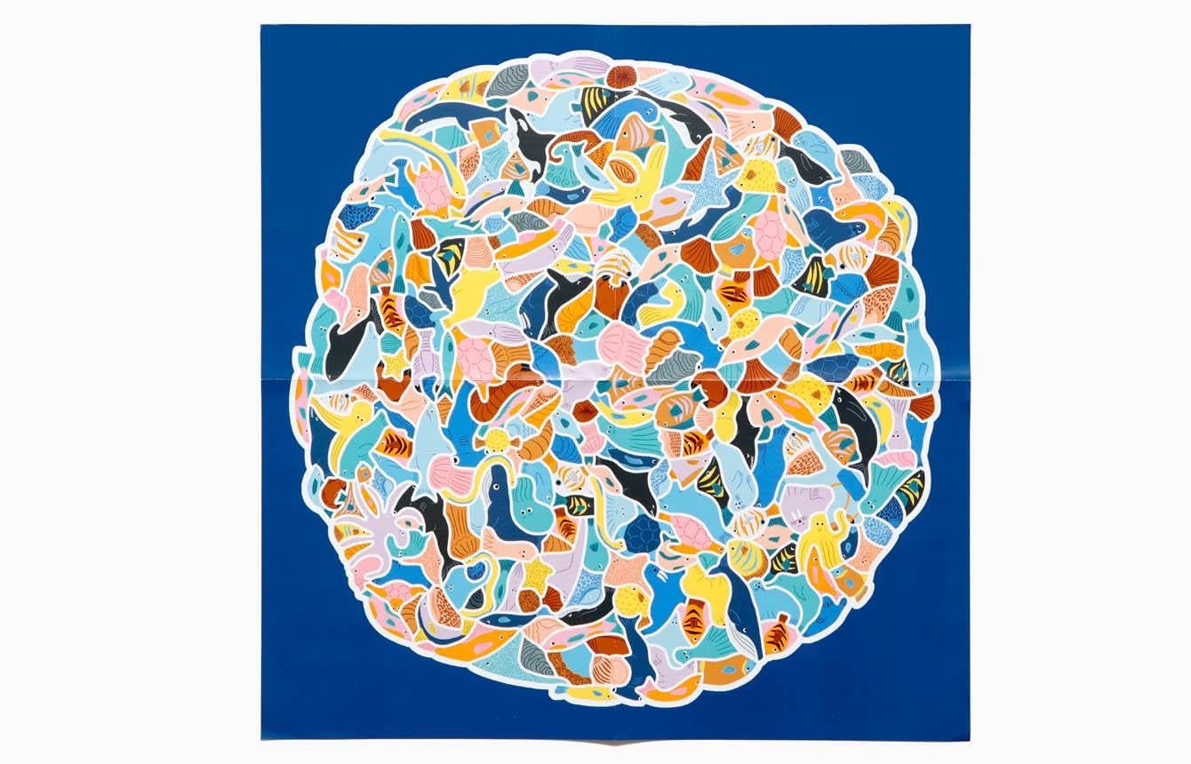 299 Fische und 1 Taucher - Ein Meeresknäuel-Puzzle