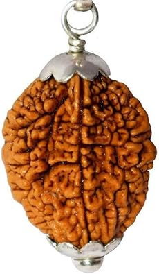 NAISHA 2 Mukhi Rudraksh Two Faced Rudraksha Rudraksha Beads With Pendent 100% Original & Certified Spiritual and Healing Product..