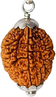 2 Mukhi Rudraksh Two Faced Rudraksha Rudraksha Beads With Pendent 100% Original & Certified (Spiritual and Healing Product)..
