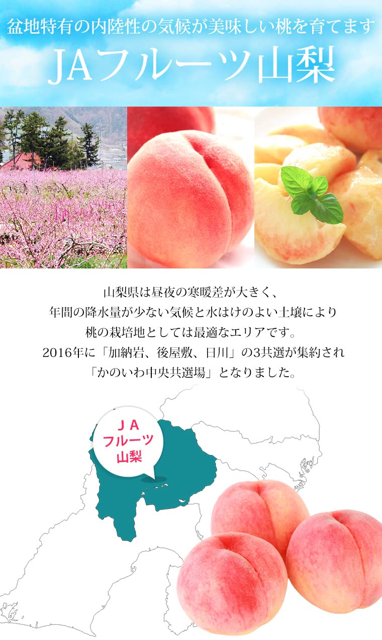 Amazon.co.jp: もも 加納岩の桃 ぴー一番 特秀品 約2kg 5～6玉 JA