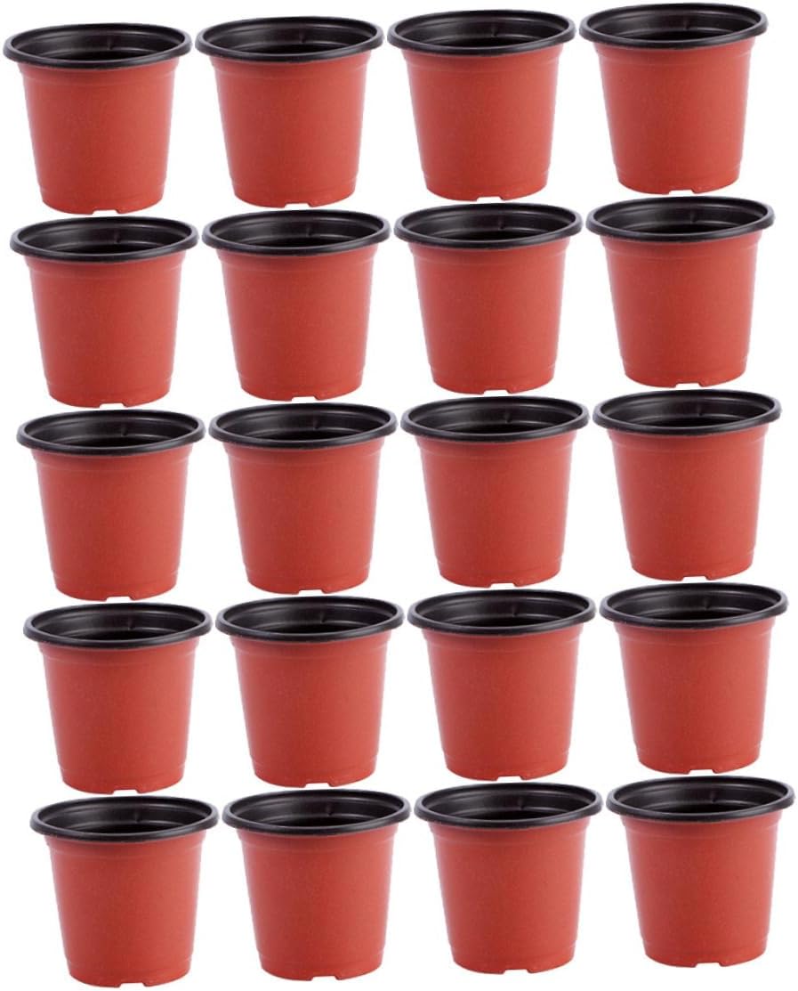 Mipcase 20pcs Seedling Pot Mini Vases House Plant Pot Clear