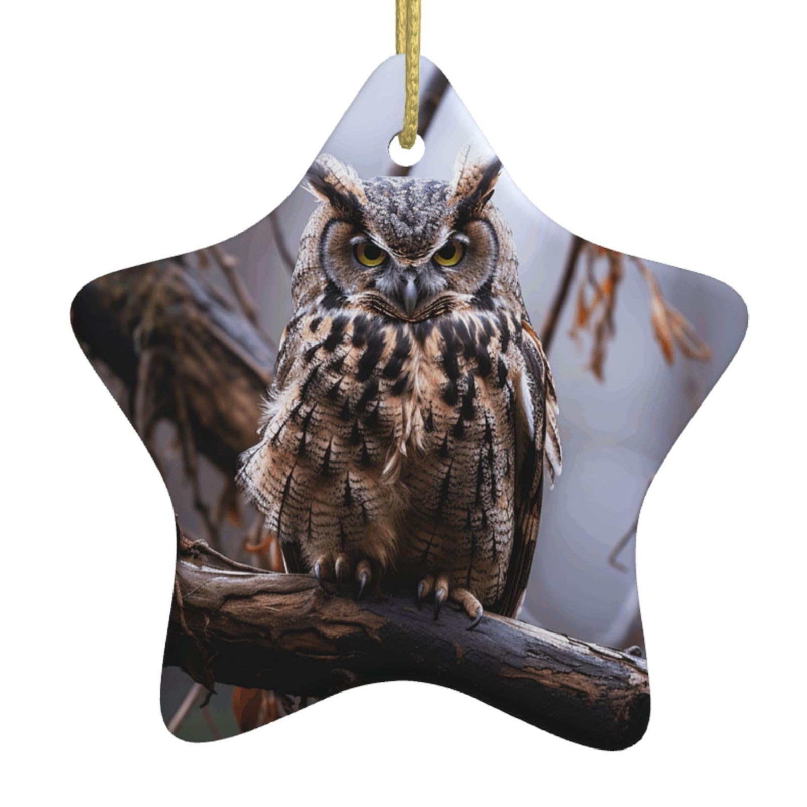 Fodpand Women's White Owl On A Branch Christmas Ornaments 2025, Gift Exchange For Men, Collectible Ceramic Ornament Star Hanging Ornaments For Christmas Tree Decoration