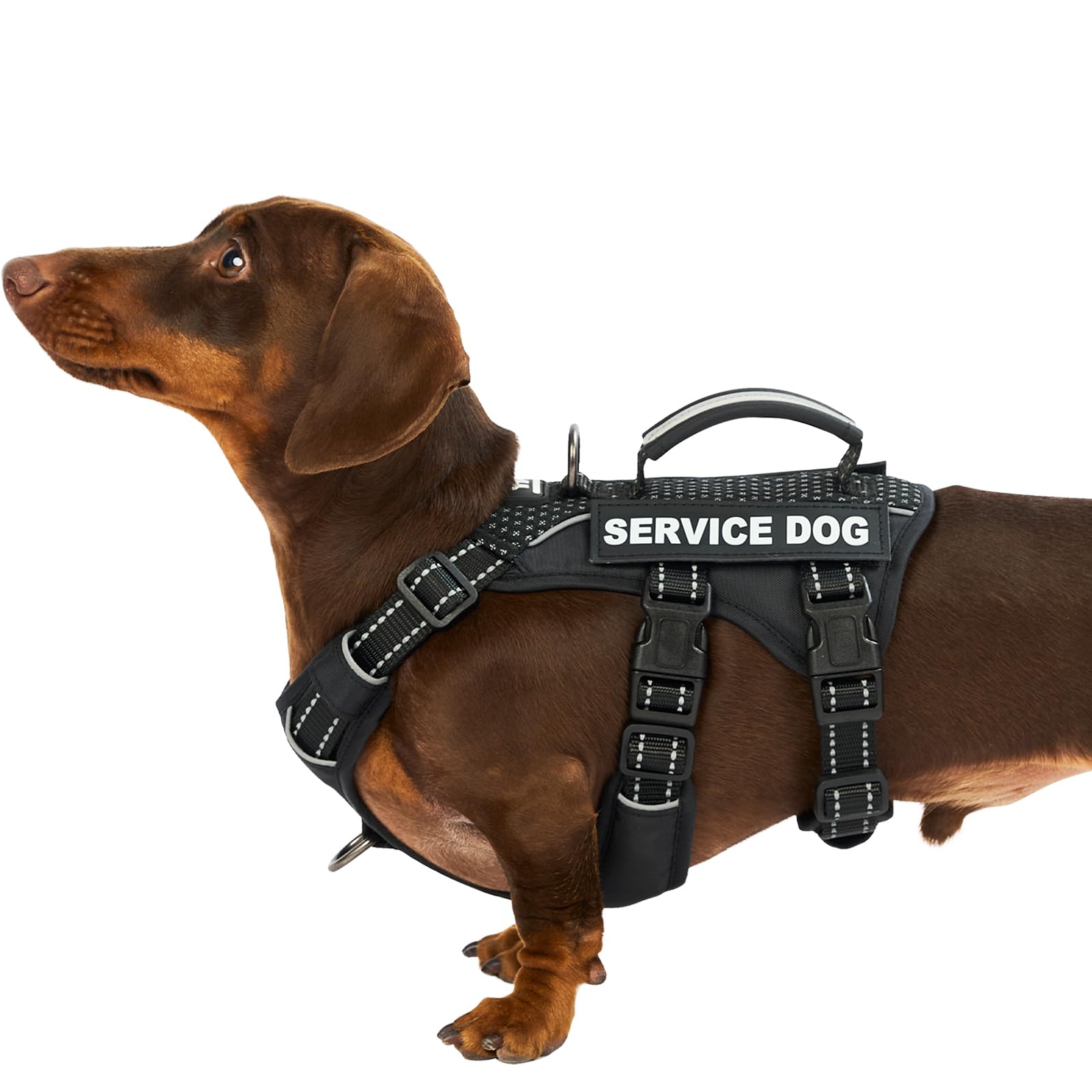 Huntboo Escape Proof Dog Harness Small Dog, Service Dog Harness with 6 Patches, No Pull Harness for Dogs with Handle, Reflective Adjustable Vest for Training, Walking, Outdoor (Black,XS)