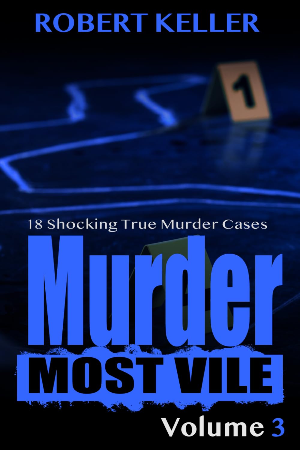 Murder Most Vile Volume 3: 18 Shocking True Crime Murder Cases