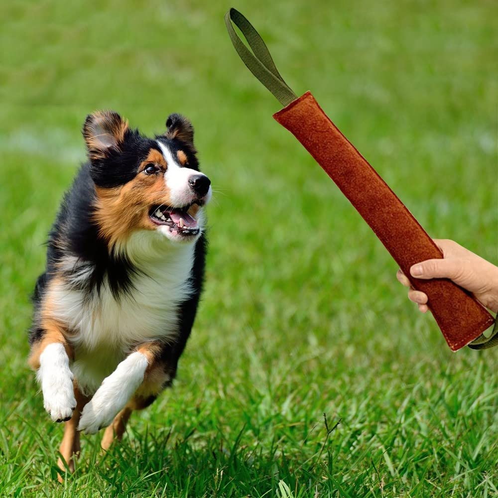 DONGKER Manicotto per Cani,20/30/40cm Giocattolo Salsicciotto per Cane con Maniglie per Addestramento e Gioco Interattivo di Cani di Piccolo Medio e Grande