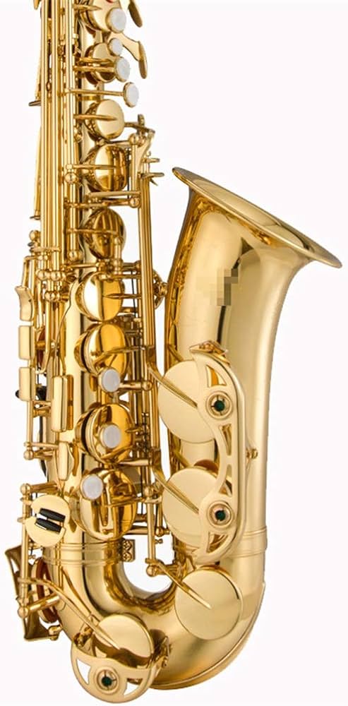 Amazon.co.jp: テナーサックス アルトサックス ケース、ストラップ