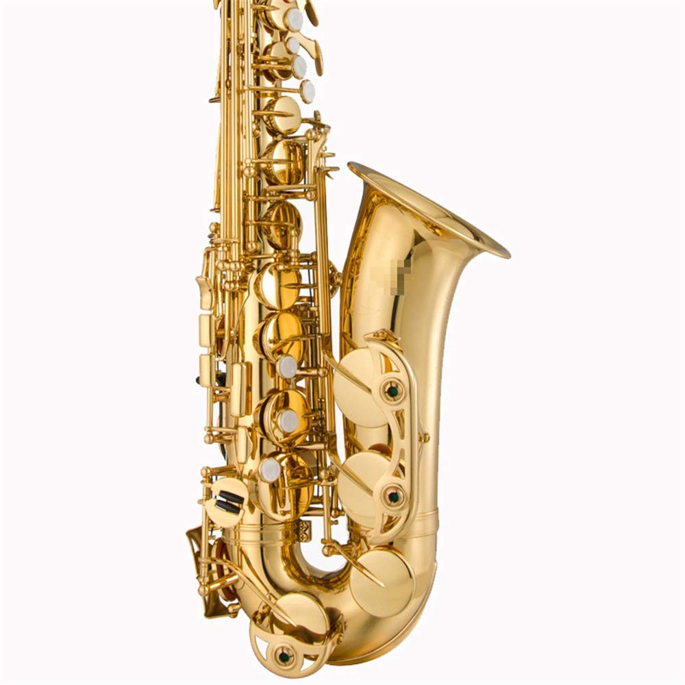 アルトサックス 本体 マウスピース　ケース付き　初心者 Amazon.co.jp: アルトサックス ケース、マウスピース、ストラップ