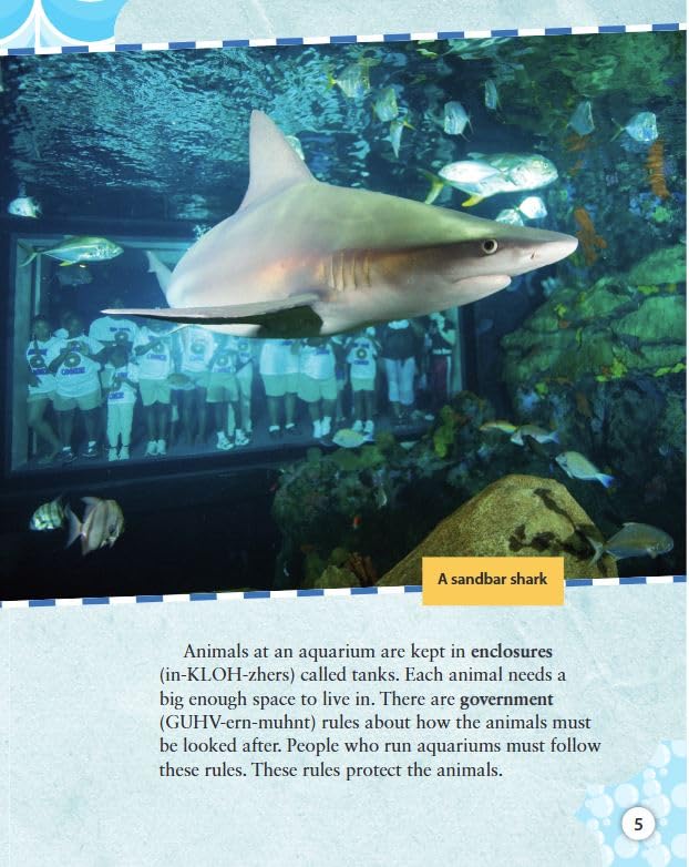 At the Aquarium: Level 5 (Mathematics Readers) - Image 5