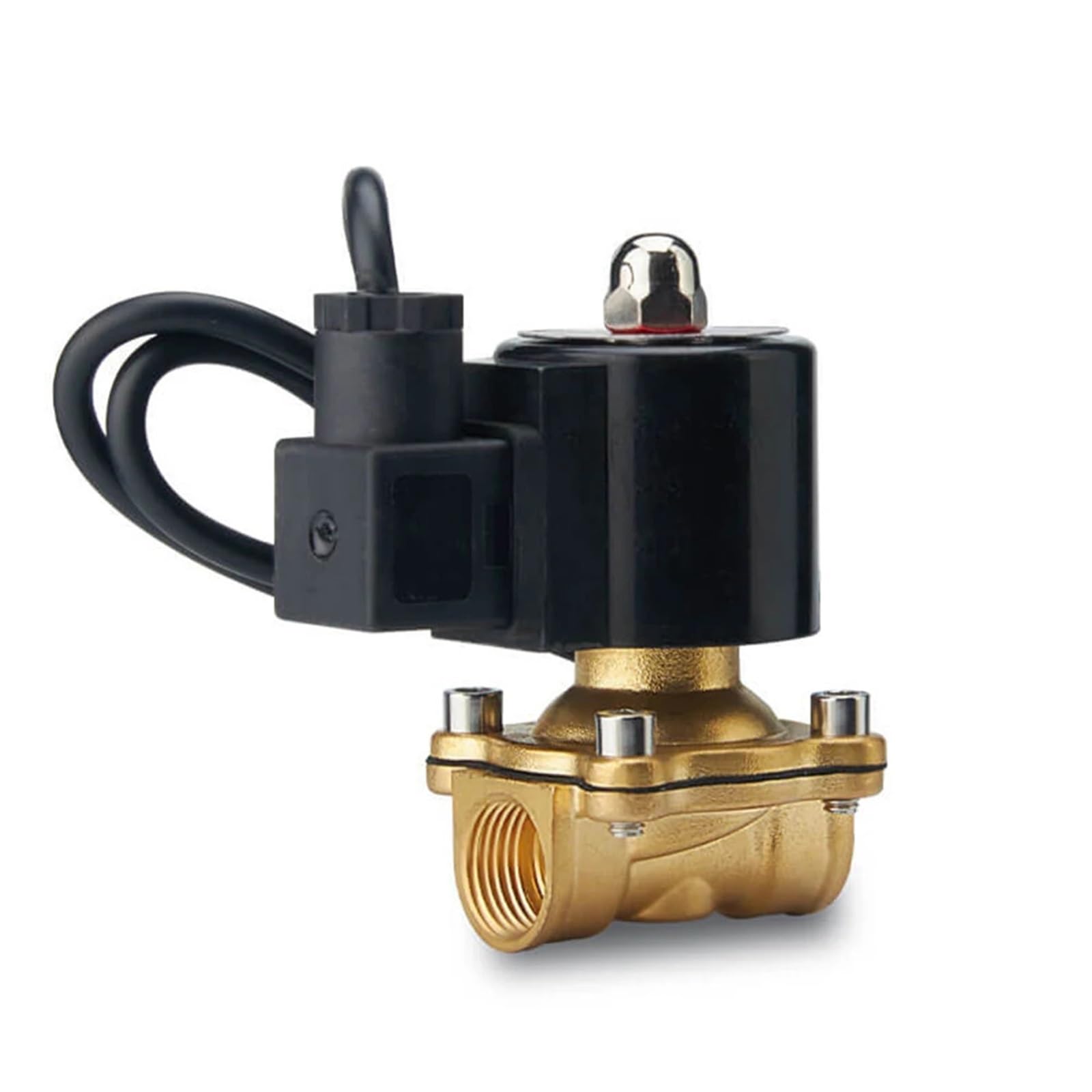 DN15-65 Series 2-Way Underwater Waterproof Solenoid Valve AC220V DC12V Normally Closed(NPT-24V,DN32)